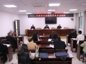 阜南县文化艺术学会成立大会召开